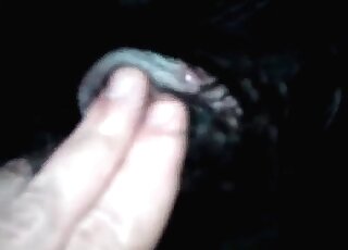 Tight dog hole getting fucked big time in this one