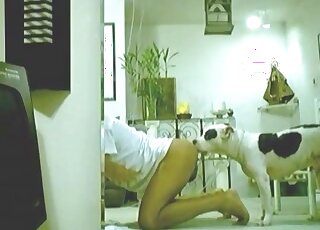 Pupper pleasuring that zoophile big time on cam