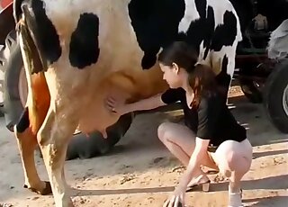 Hot zoophile slut and her cow love each other - 女性アニマルポルノ 