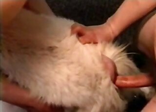 Perverse orgy scene with horny zoophiles here