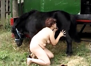 Salacious dark horse screwing her wet cunt