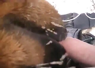 Extreme BJ from an unusual creature, zoo XXX