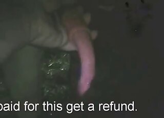 Farm cock getting stroked for the camera here