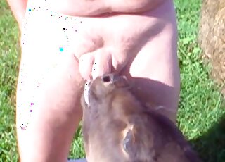 Huge cum load for a sexy-looking farm animal