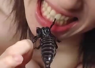 Real-life zoophile from Japan enjoys insects