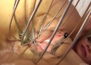 Crazy insect porn with a hot bestiality lover