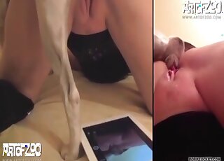 Trained beast and a hot chick have nasty bestiality XXX