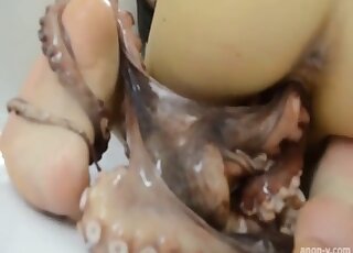 Crazy octopus porn action with a very sweet beauty