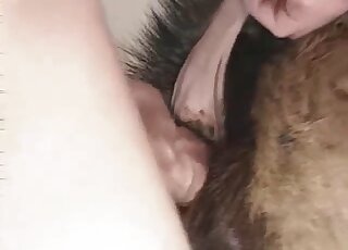 Adorable nice pooch porn action with a hot sister