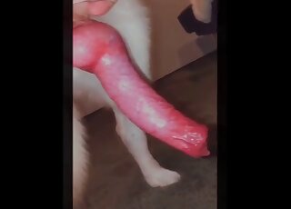 Handjob scene featuring a really horny dude here