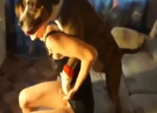 Fat pussy zoophile needs to get knotted today