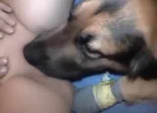 Dog is ready to sniff and lick her cunt up close