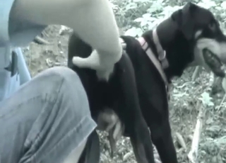 Zoophile dude is going to work on this hot mutt