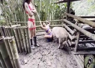 Zoophile porn with pigs, blowjobs, and orgasms