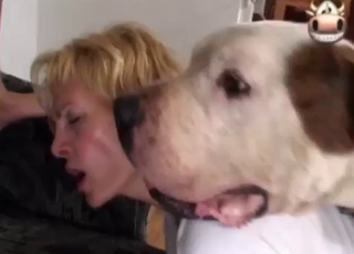 Bestiality sex with a bunch of horny ladies