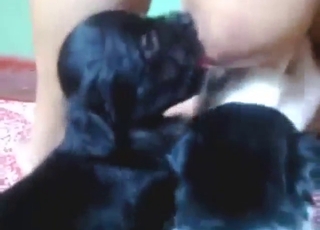 Puppy breast worship session with orgasms