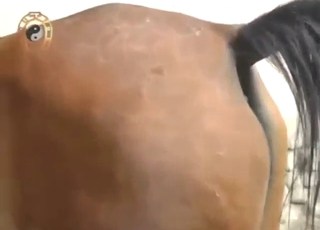 Outrageous fucking mare wants to get fucked