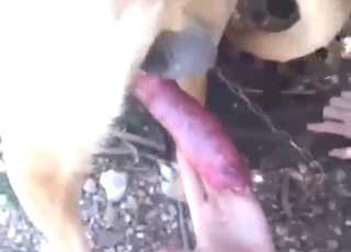 Zoophile lady wants to swallow all dog semen