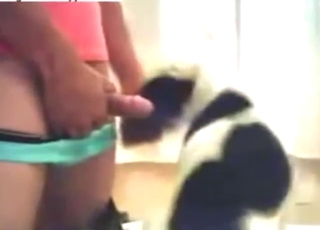 A cute beast is ready to suck him off for fun