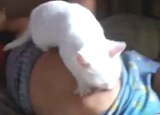 Breastfeeding the cat to fuck it later on