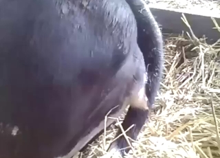 Dude is going to fuck that hole with a toy