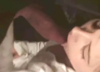 Babe bothers to suck dog dick real hard on cam