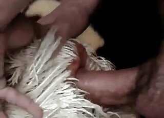 Let's all take a look at this cock