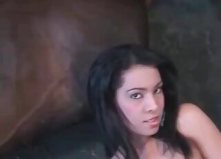 Warped zoo action in HQ