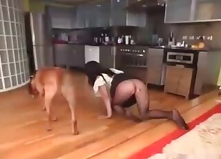 Wife s fave pet is fucking her