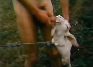 Dude is about to fuck this hot-looking goat