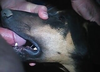 Sucking