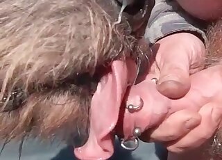 Dog licks my hard sausage in close-up mode