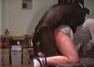 Black doggy roughly fucked a sensual young zoophile - إباحية حيوانات مع نساء 