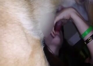 A beautiful lady is sucking a nice doggy on camera