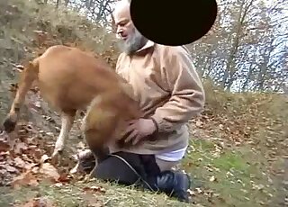 Brown dog fucks outdoors with a sweet zoophile