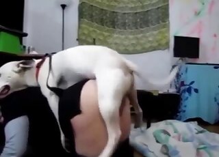 Awesome white dog quickly fucked her wide-opened cunt