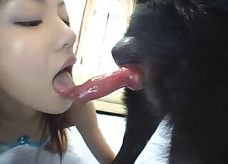 Young Japanese gf sucks a sweet doggy penis