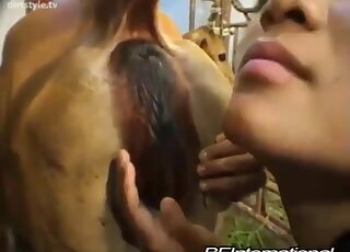 Filthy Asian hottie gives a gorgeous rimjob