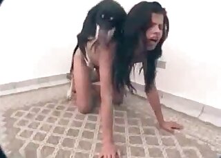 Dirty-ass doggo screwing that narrow hole here