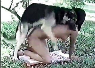 Dog using its hard cock to ruin this bitch forever