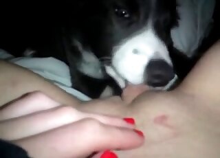 Puppy featured in a nice POV porno movie here
